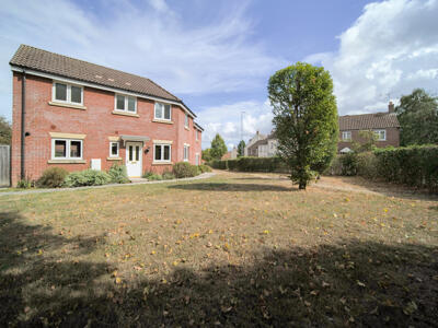 Picture 19